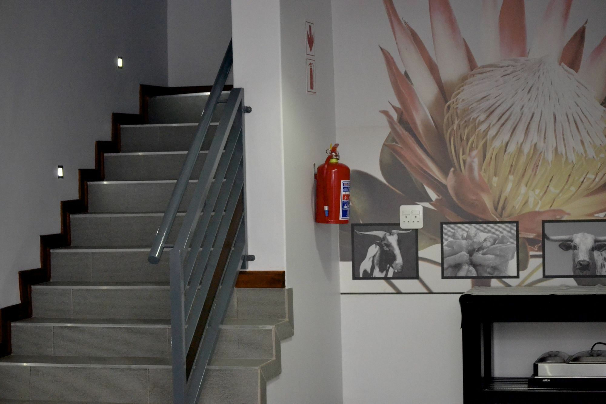 Yalla Yalla Boutique Hotel Witbank Ngoại thất bức ảnh